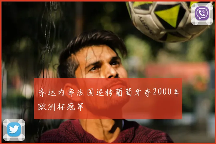 齐达内率法国逆转葡萄牙夺2000年欧洲杯冠军