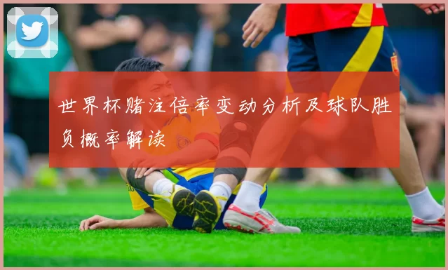 世界杯赌注倍率变动分析及球队胜负概率解读