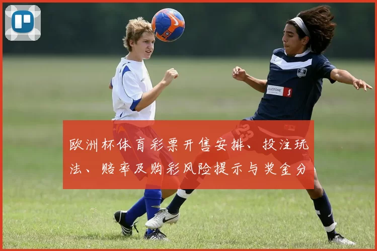 欧洲杯体育彩票开售安排、投注玩法、赔率及购彩风险提示与奖金分配影响