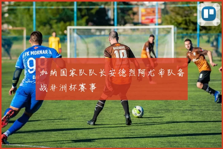 加纳国家队队长安德烈阿尤率队备战非洲杯赛事