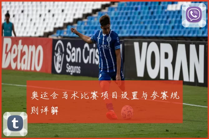 奥运会马术比赛项目设置与参赛规则详解