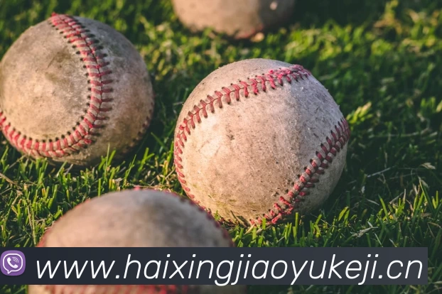 星空官网首页登录平台生态图