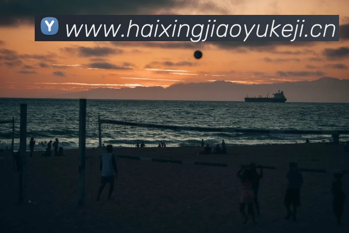 星空官网首页登录APP 封面图